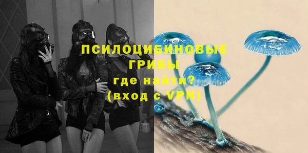 гашик Абаза