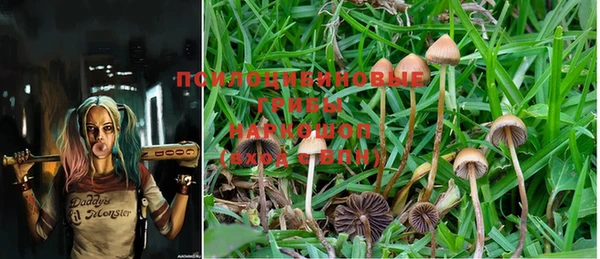 PSILOCYBIN Абинск