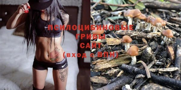 PSILOCYBIN Абинск