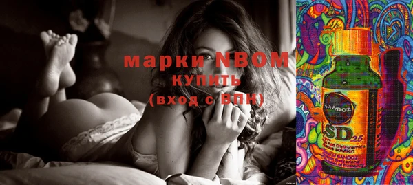 PSILOCYBIN Абинск