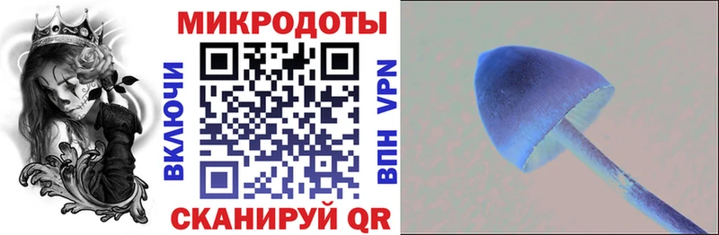 Псилоцибиновые грибы прущие грибы  Белоусово 